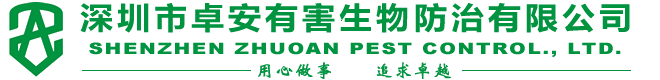 X݆pٙC